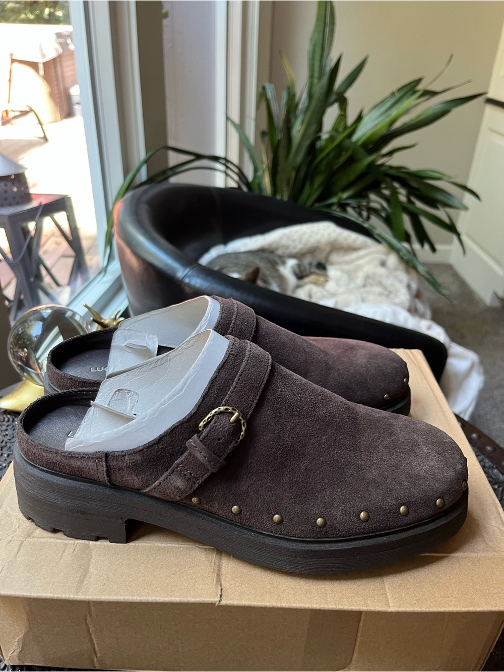 LUCKY BRAND CAYTINA CHOCOLATE SUEDE CLOGS 8